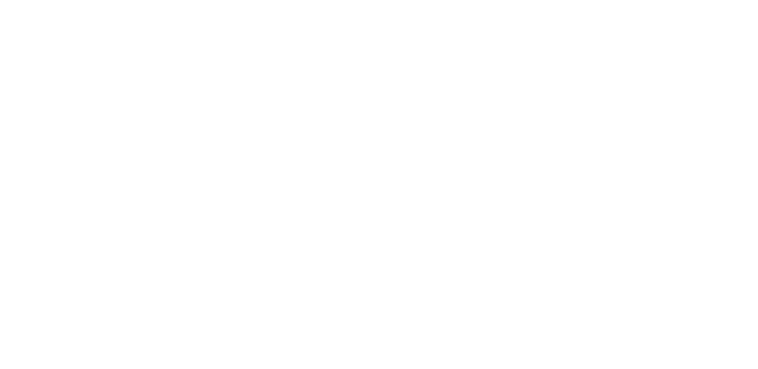 Stray Kat Studio