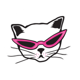 Stray Kat Studio